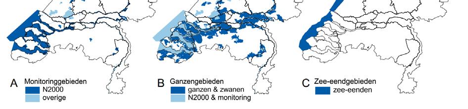 In de Waddenzee worden ook de kustpolders achter de dijk in het getijdenritme geteld, omdat er uitwisseling plaatsvindt tussen binnen- en buitendijkse hoogwatervluchtplaatsen.