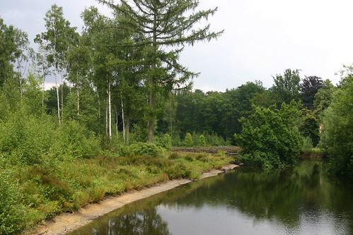 00 uur Voor beide wandelingen spreken we af om te carpoolen.