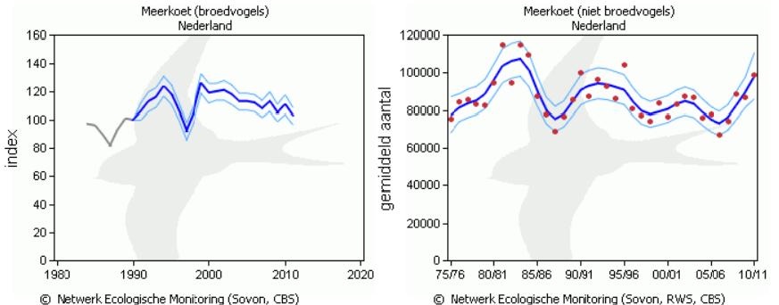 Fig. 2. Index broedvogels en gemiddeld aantal niet broedvogels per maand en per seizoen in Nederland (SOVON, RWS, CBS). Provinciaal Figuur 3 geeft de index voor broedende meerkoeten in Groningen.