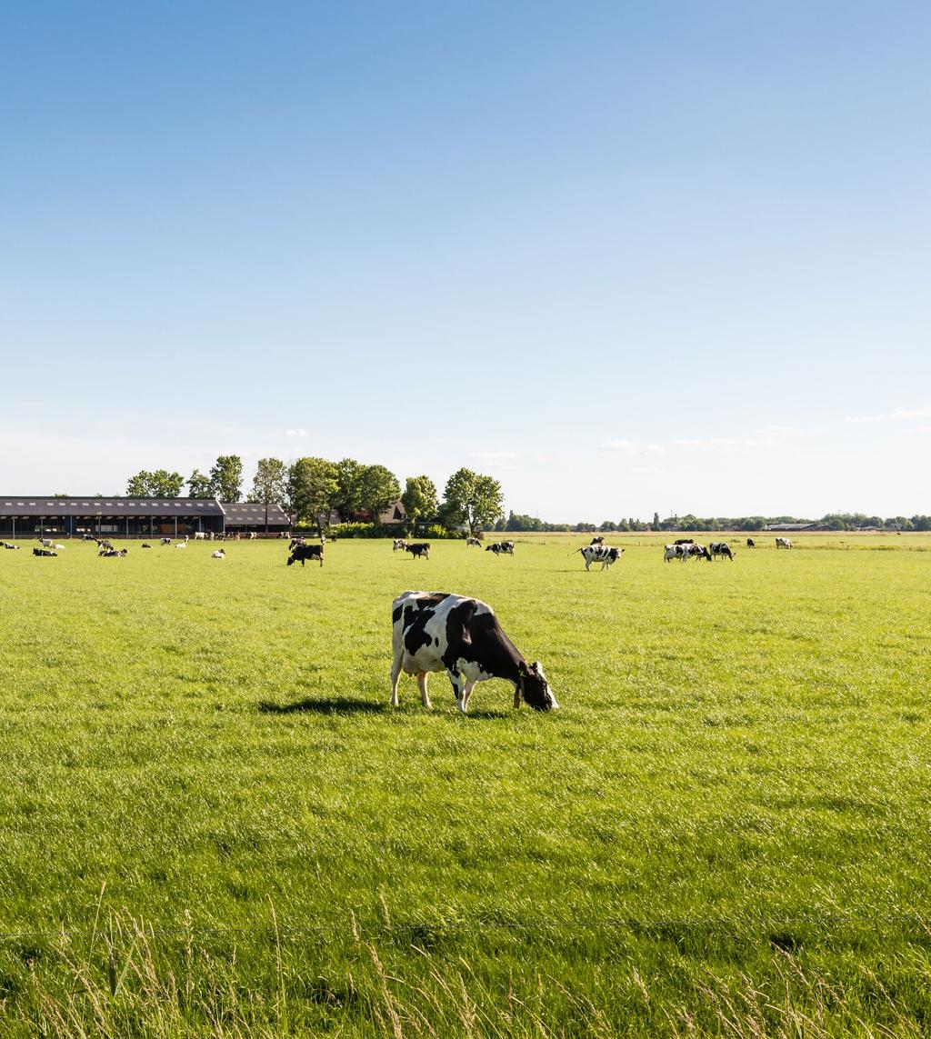 STICHTING WEIDEGANG JAARRAPPORTAGE 2018 NIEUWE GRACHT 3