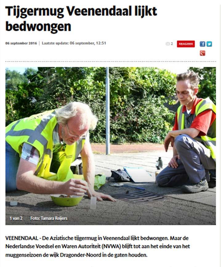 Trouw, Metro, Gelderlander, Veenendaalse