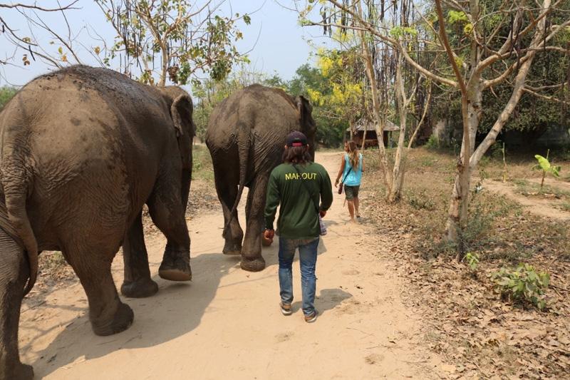 Dag 0 Verlenging Vrijwilligerswerk Elephants World Na afloop van je reis kun je een verlenging boeken naar het vrijwilligersproject Elephants World in Kanchanaburi.