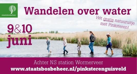 Tips en adviezen voor ouders Wandelen over water in het Guisveld Ontdek deze Pinksteren één van de stilste gebieden van de Zaanstreek, het Guisveld.