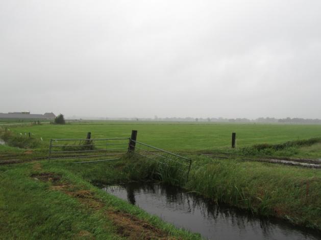 Het omliggende gebied is open poldergebied met weinig tot geen beplanting. Onderstaande foto s geven een impressie van het projectgebied en de directe omgeving. 2.