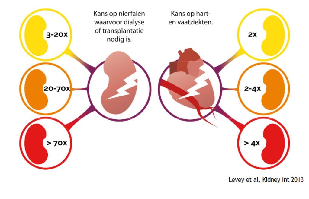 De gevaren van chronische nierschade -op nier EN hart- Hoeveel mensen In Nederland?