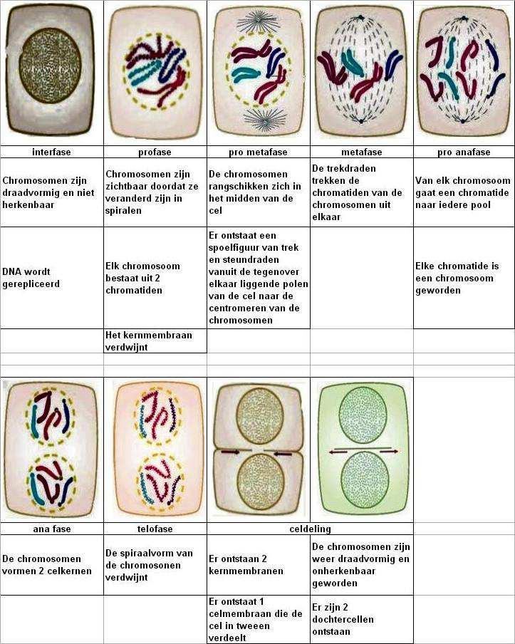 Biologie 2 9