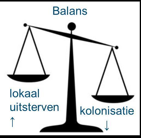 Klonale groei, zaadbank