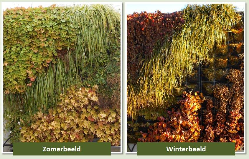 Plantkeuze - Factoren Standplaats: Oriëntatie,