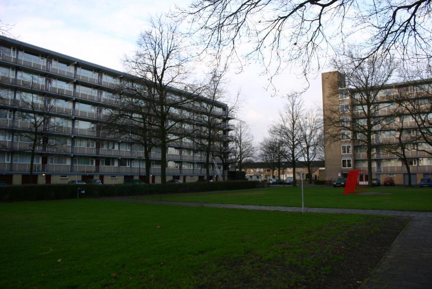 RAPPORT Flora- en fauna-inspectie voor herinrichting van het Distelplein en Larixplein