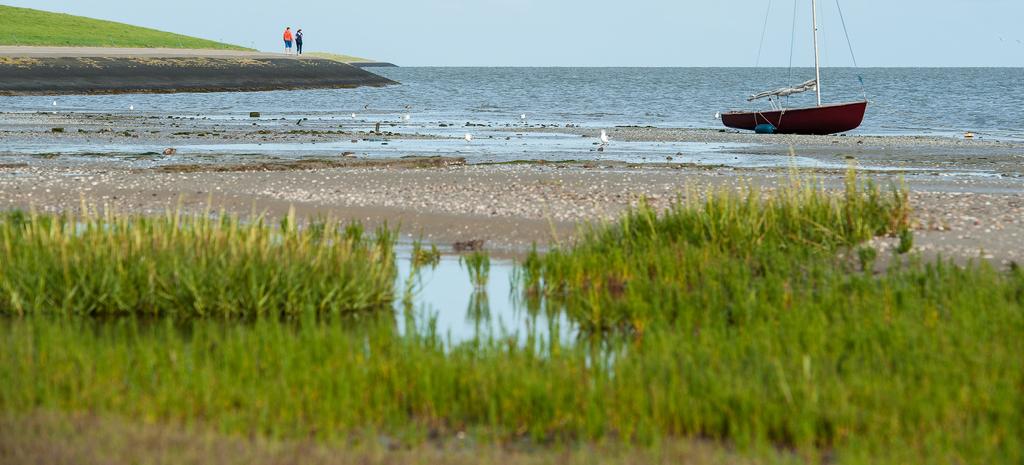 is iemand die vooruitstrevend is met oog voor en behoud van de unieke eilandcultuur Bestuur Het gemeentebestuur is van mening dat Ameland het beste tot zijn recht komt als zelfstandige en volwaardige