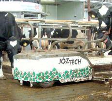 Het melken in een automatisch melksysteem verloopt via een vast protocol waarbij het systeem geen direct verschil maakt tussen bijvoorbeeld schone en vuile koeien.
