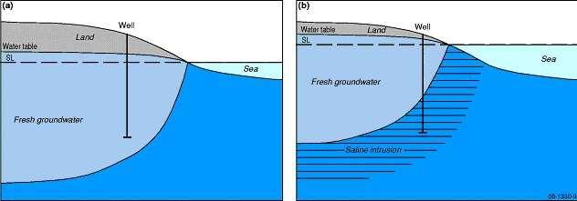 Gevolgen van zeespiegelrijzing op saliniteit