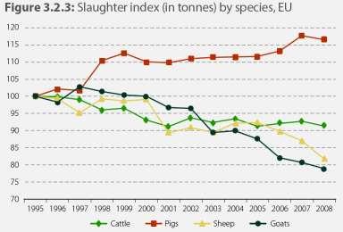 EU-27 47% Brazil and Argentina 16 mio tonnes 30 (2008) mio tonnes (2008) Soy area +13 mio ha Forest -8 mio ha