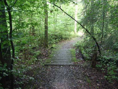 Schokkerbos nabij de gesteentetuin ontdekt.