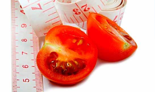 22 23 Segmentatieonderzoek tomaat Om het Flandria-keurmerk te verkrijgen in België moeten de Belgische tomaten voldoen aan de strenge kwaliteitseisen van het Flandria-lastenboek.