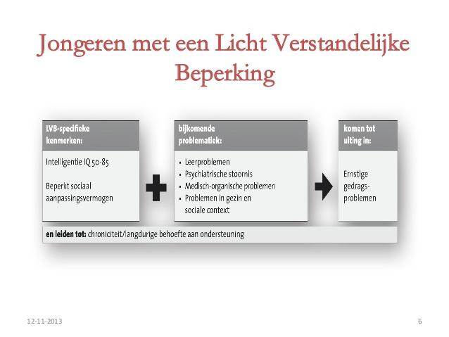 LVB: EEN WERKMODEL DSM-5