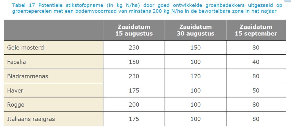 Hoeveel neemt een vanggewas op? Vooral afhankelijk van zaaitijdstip én weer!