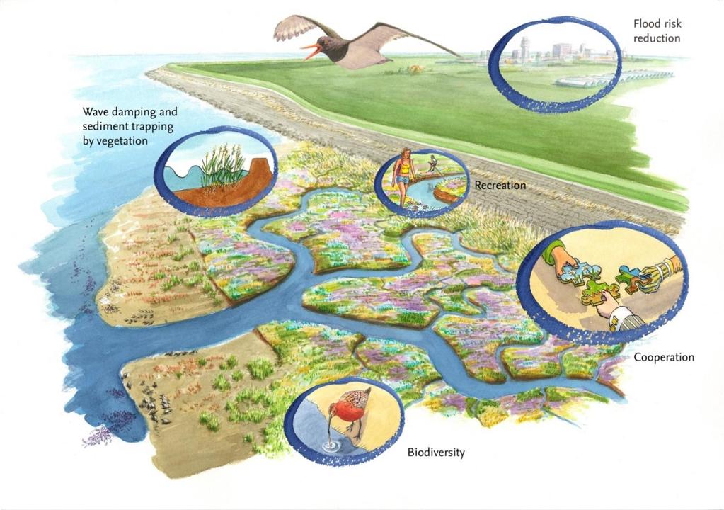 1. Achtergrond In Nederland moeten de komende jaren honderden kilometers waterkeringen versterkt worden.