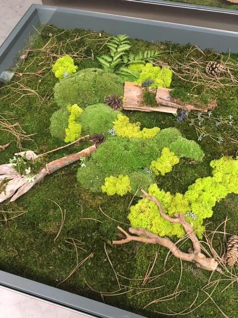 Green moss table een natuurlijke