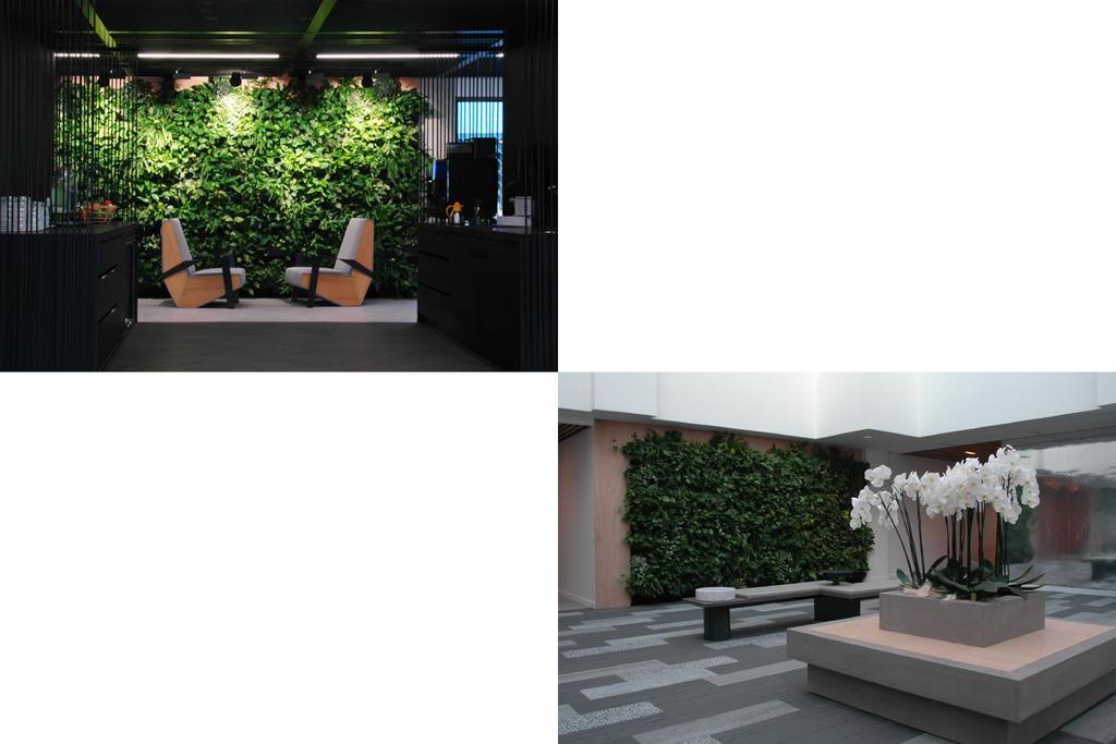 Green screen de maatwerk plantenwand - Opgebouwd uit wandmodules (LDPE) en levende beplanting - Afmeting modules 120 lxbxh: 117.3 x 11 x 33 cm - Afmeting modules 60 lxbxh: 58.