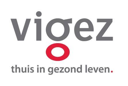 VIGeZ, 2013 Voorstel handleiding
