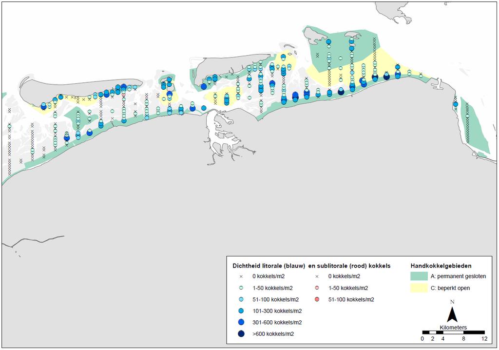 Figuur 13. Dichtheden van kokkels (aantal per m 2 ) in de oostelijke Waddenzee in het voorjaar van 2018. Er is onderscheid gemaakt tussen litorale locaties (blauw) en sublitorale locaties (rood).