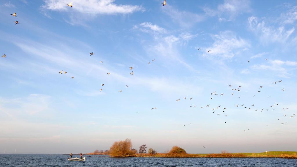 Visserij op het Volkerak-Zoommeer