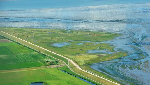 Voorland Golfhoogte is maximaal 50% van de