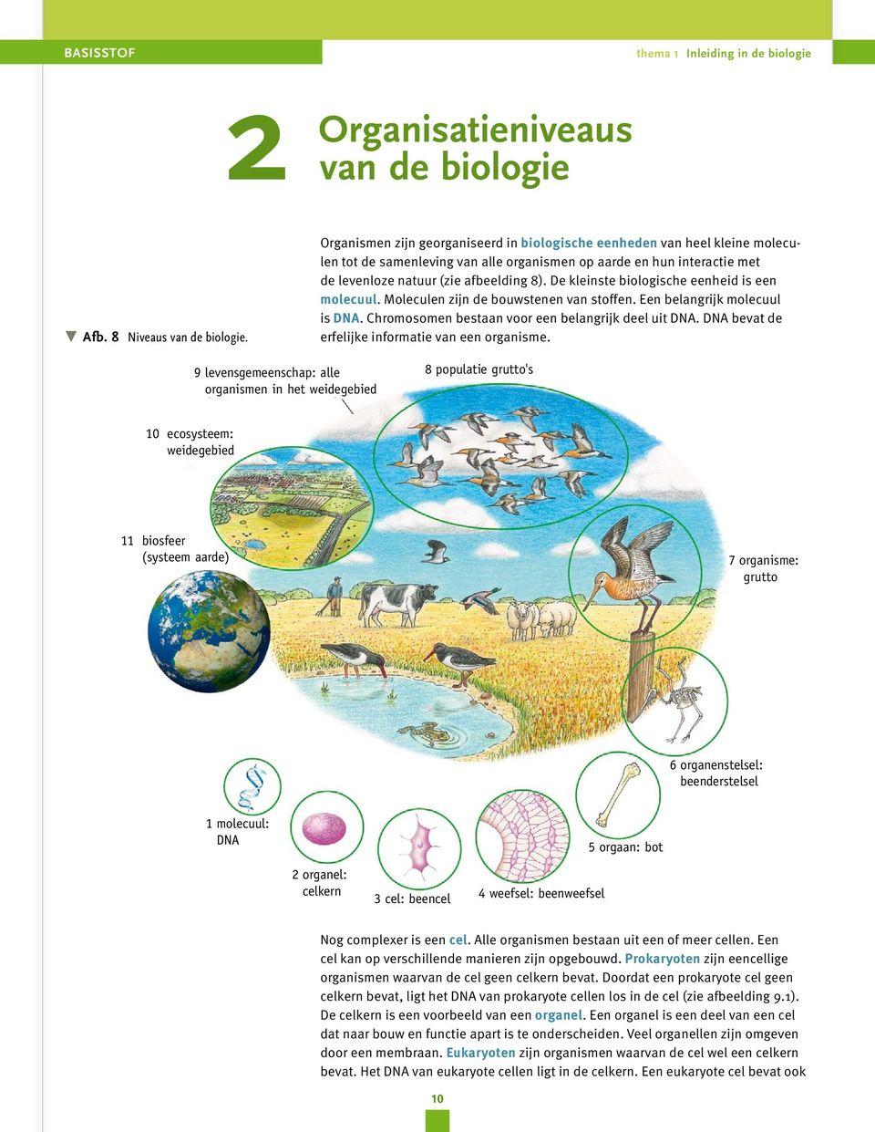 2 Organisatieniveaus van de biologie: https://www.