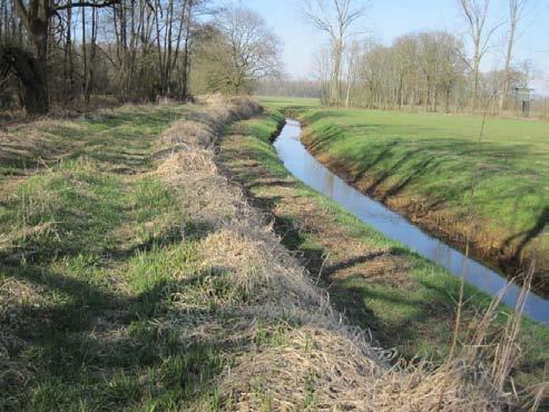 Figuur 33. De diep aangelegde en rechtgetrokken Tilligterbeek tussen monsterpunt 13 in het westen (rechts) en het om te vormen grasland van de Broekmaten in het oosten (links).