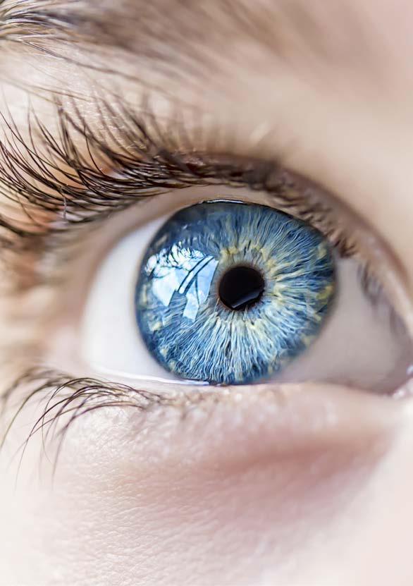 Nieuwe therapieën LMD is een veelvoorkomende oogaandoening waar veel onderzoek naar wordt verricht.