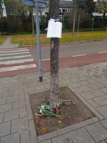 Deze in memoriams worden versierd met linten in de transgenderkleuren in bomen gehangen, verspreid over alle wijken van de stad. Een twintigtal vrijwilligers werkt hieraan mee.