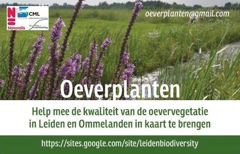 Oeverplanten is een Citizen Science onderzoek, samenwerking van Naturalis en het publiek, om de oevervegetatiekwaliteit in de Leidse regio te beoordelen.