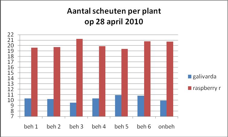 Figuur 1 : Aantal scheuten per plant Raspberry Royal en Galivarda op 28 april 2010.