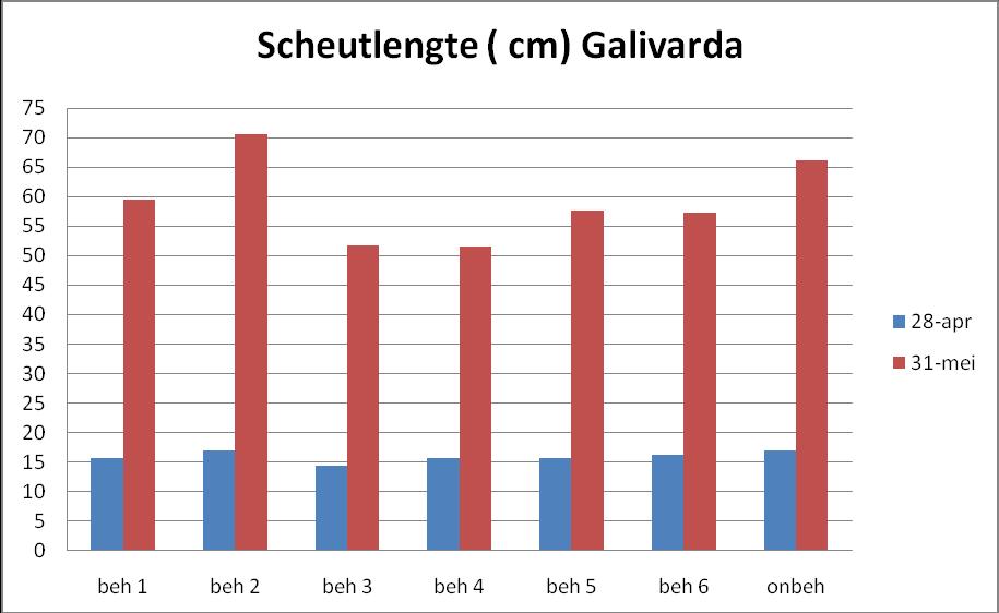 Figuur 5 : Gemiddelde scheutlengte Galivarda Figuur 6 : Gemiddelde scheutlengte Galivarda weergegeven in boxplots Op basis van de metingen optische beoordelingen en statistische verwerking geeft de