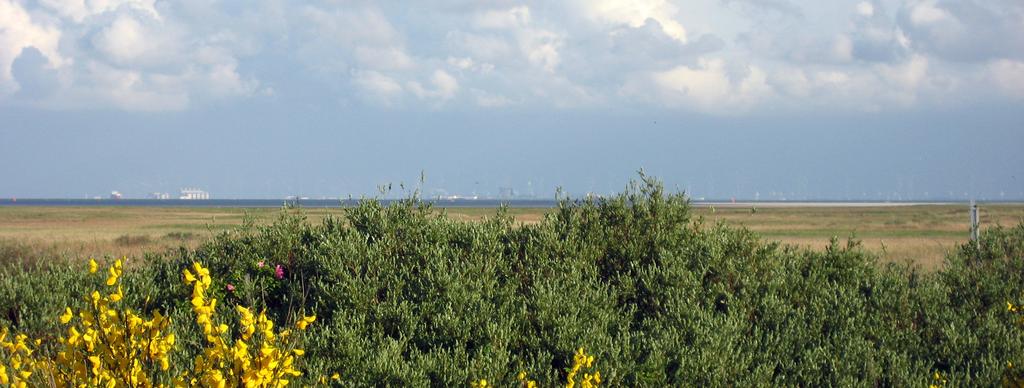 Hieronder twee maal de Eemshaven, gezien vanaf Borkum. Zichtafstand: ca. 12 km. De eerste foto is het werkelijke uitzicht, de tweede foto is bewerkt: de windturbines zijn verwijderd.