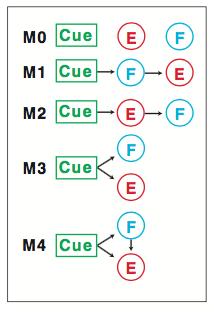 4.1 Eiwit-eiwit interactie Modelleren 16 M3. Alhoewel, Model 1 en 4 het best uit de test komen is er geen significant verschil tussen de modellen.