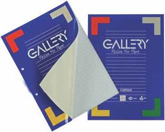 Schrift Bicolor Cursusblok Ft 21 x 29,7 cm (A4) Blok van 100 blad Papier van 80 g/m² 2-gaatsperforatie 1, 47