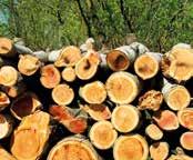 Voor Topalit wordt uitsluitend hout van PEFC-gecertificeerde Oostenrijkse