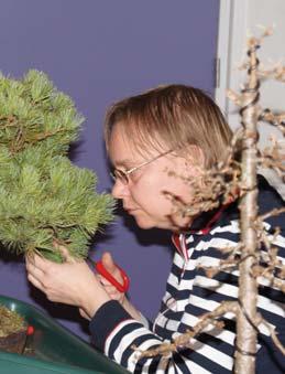 Na de pauze was er dan tijd om de meegebrachtte bomen onder