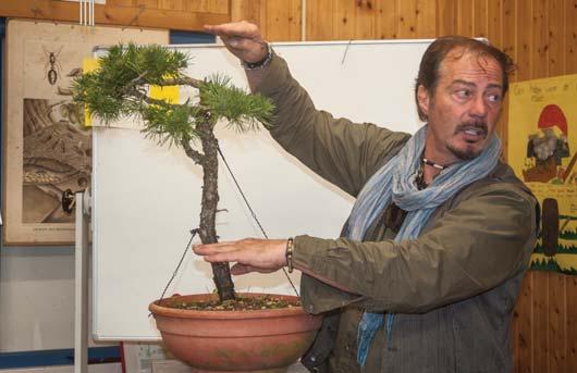 Sinds 1993 komt Marc twee keer per jaar naar ons land om workshops te geven aan een klein groepje bonsaifanaten met als doel verhoging van kennis en ervaring.
