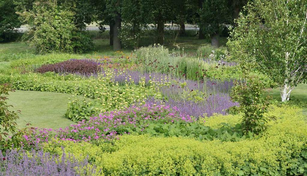 2 3 Vasteplanten voor tuincentrumverkoop Vasteplanten zijn onmisbaar in de tuin, sterker: ze worden steeds populairder.