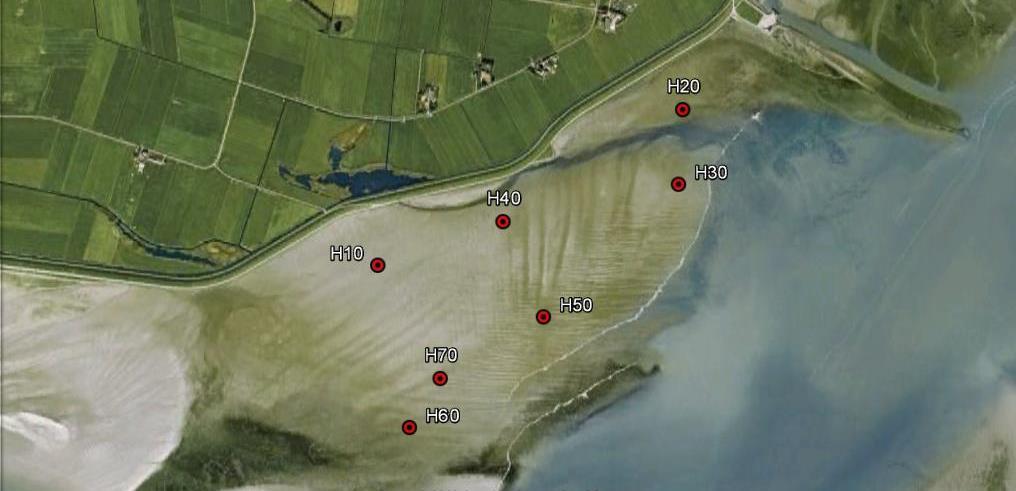 Figuur 2.33 Luchtfoto (Google) met 7 meetstations bij West-Ameland ingetekend. Tabel 2.4 Coördinaten en hoogteligging van meetstations West-Ameland.