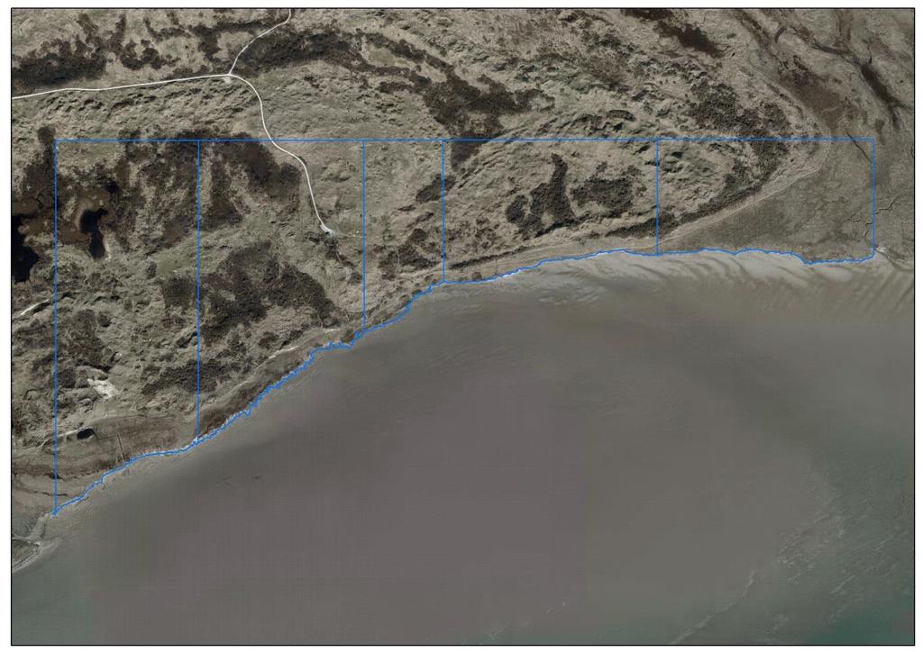 De locatie van de kustlijn kon op de geo-gerefereerde luchtfoto s van 1949-2014 worden vastgesteld met een gemiddelde nauwkeurigheid van 2,1 m (Sanders & Slim 2000).