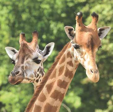 HOTSPOTS IN DE OMGEVING Park