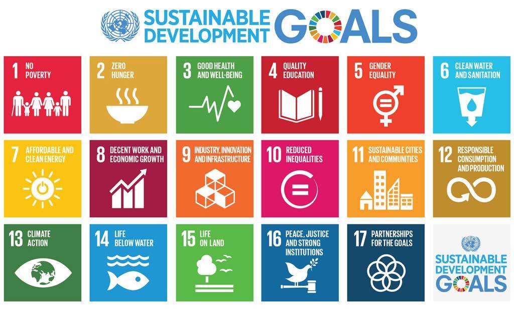 SDG s als blauwdruk verduurzaming