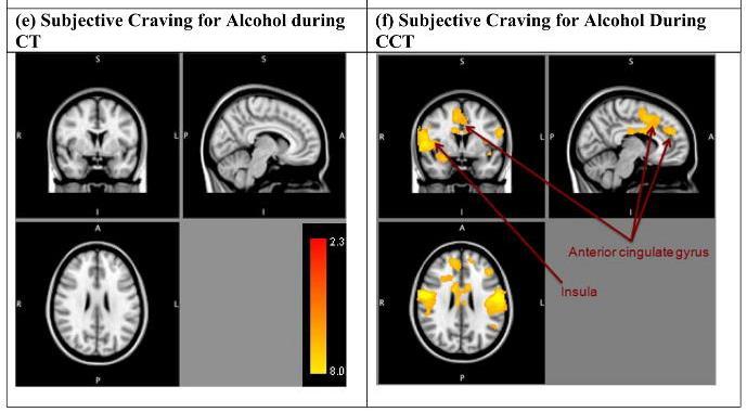 How Psychosocial Alcohol Interventions Work: A Preliminary Look at what