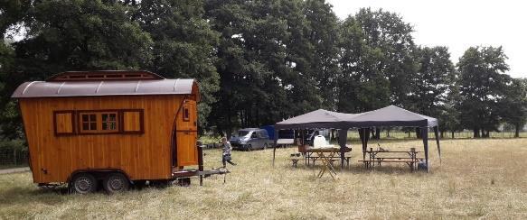 de schapen in het Beekdalpark in Lichtenvoorde.