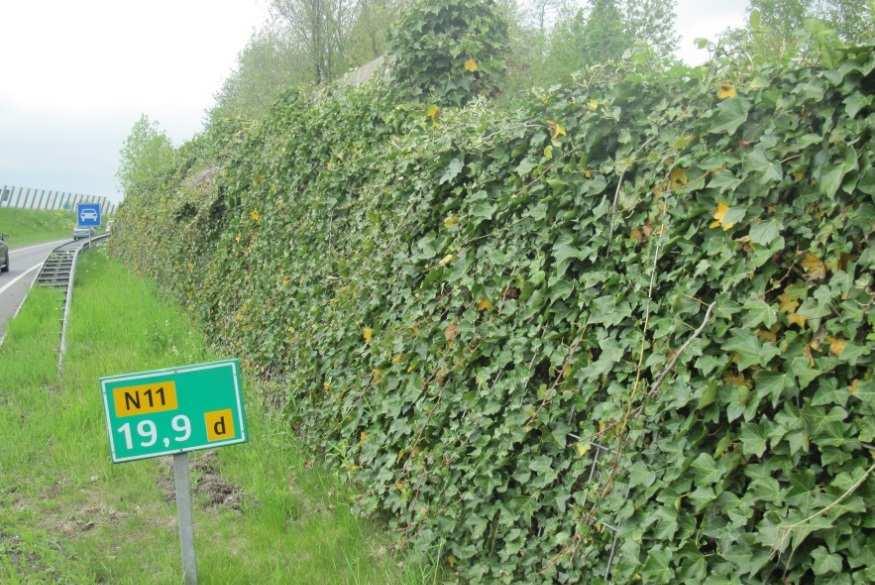 luchtzuivering Groen met veel volume Denk