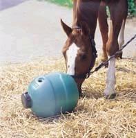 Bij verveling in de stal geeft men het paard een Horsebal.